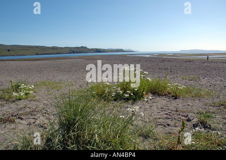 Glen fragile, Isola di Skye Foto Stock