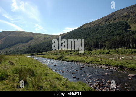 Glen fragile, Isola di Skye Foto Stock