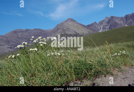 Glen fragile, Isola di Skye Foto Stock