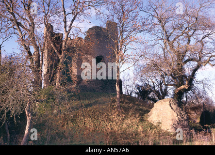 Il castello di LONGTOWN HEREFORDSHIRE England Regno Unito Foto Stock