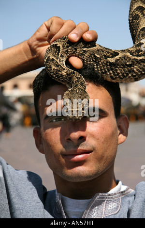 Il serpente incantatore con viper souk marrakech marocco Foto Stock