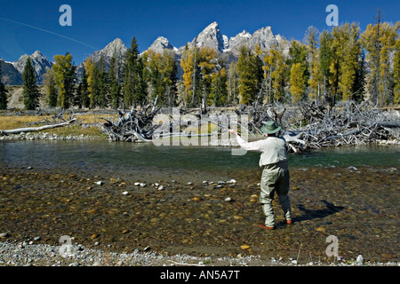 Pesca a mosca presso il fiume Snake in Grand Teton National Park Wyoming Teton picchi in background Foto Stock