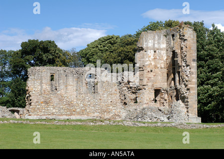 Spynie Palace una volta la residenza fortificata dei vescovi di Moray, Elgin. XPL 3235-322 Foto Stock