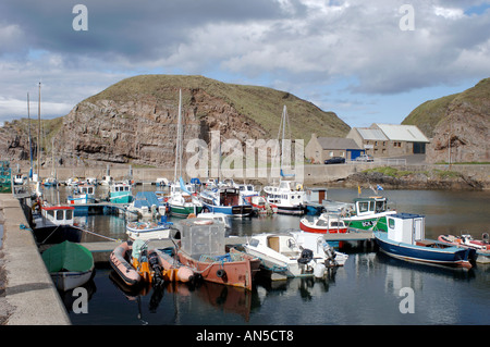 Porto Portknockie Nord Est Aberdeenshire, Grampian. La Scozia. XPL 3254-323 Foto Stock