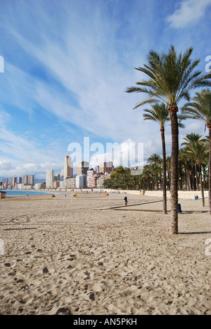 Playa de Poniente in inverno, Benidorm, Costa Blanca, Provincia di Alicante, Spagna Foto Stock