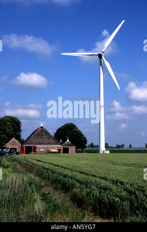 Groningen Agriturismo Mulino a Vento mulini a vento Paesi Bassi Olanda Foto Stock