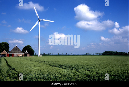 Groningen Agriturismo Mulino a Vento mulini a vento Paesi Bassi Olanda Foto Stock