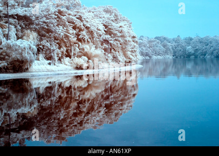 Digital Infrared Photography scene naturali ancora la riflessione di acqua Foto Stock