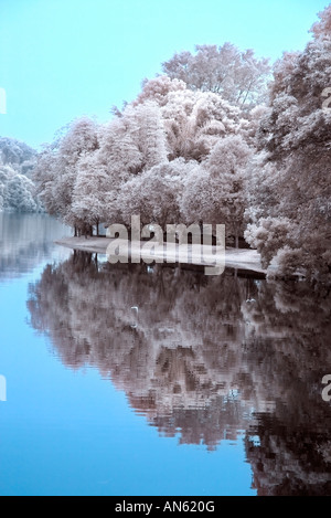 Digital Infrared Photography scene naturali ancora la riflessione di acqua Foto Stock