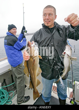 Due pesci catturati su una singola linea la pesca di merluzzo bianco in un fiordo vicino Sisimiut Groenlandia Foto Stock