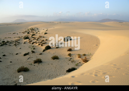 Sunrise dune di sabbia, Corralejo National Park, Fuerteventura, Isole Canarie Foto Stock