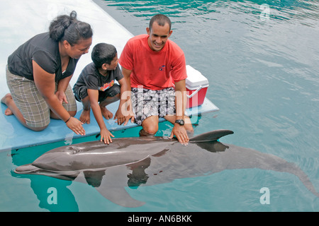 Trainer lavora con delfini di delfini del Pacifico. Qui il trainer ha visitatori giapponesi pet stomaco dei delfini Foto Stock