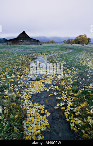 Moulton vecchio granaio sulla riga mormone nel Parco Nazionale di Grand Teton Foto Stock