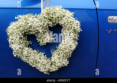 Cuore di fiori bianchi su sfondo blu porta auto Foto Stock