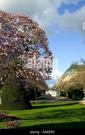 La fioritura degli alberi di magnolia, War Memorial, Place de la République square, quartiere Neustadt, Strasburgo, Alsazia, Francia, Europa Foto Stock