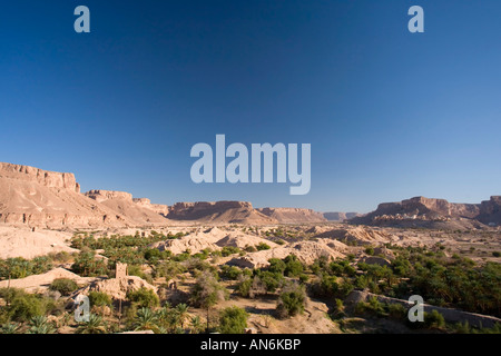 Il paesaggio di palme da dattero e mountians intorno al villaggio Hajjarin all'interno di Wadi Dawan Yemen Foto Stock