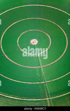 Vista aerea verde sopra il centro di rotazione del cerchio di irrigazione Foto Stock