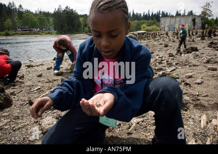 100 quarta e quinta livellatrici da John Muir Scuola Elementare trascorrere 4 giorni partecipano in all'aperto e attività ambientali. Foto Stock