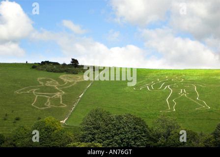 La Cerne Abbas Giant con il personaggio dei fumetti di Homer Simpson. Foto Stock