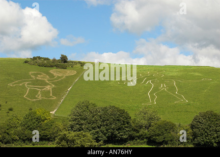 La Cerne Abbas Giant con il personaggio dei fumetti di Homer Simpson. Foto Stock