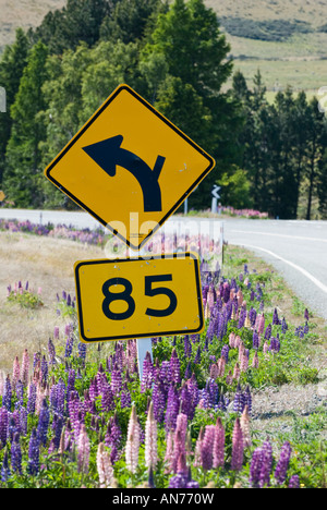 85 km/h a sinistra girare a velocità segno di avvertimento, lupini dal lato della strada Foto Stock