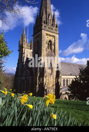 Cattedrale di Llandaff primavera vista con il daffodils sobborghi di Cardiff South Wales UK Foto Stock