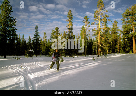 Un CROSS COUNTRY SKIIER attraversa un prato nevoso in tre sorelle deserto delle cascate sorelle OREGON Foto Stock