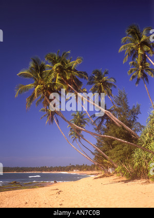 Sri Lanka Tangalla Beach Foto Stock