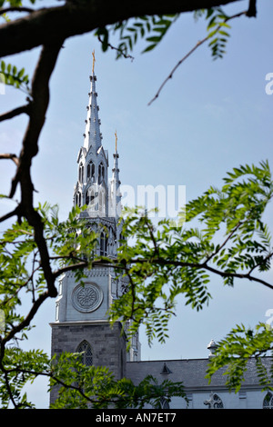 Basilica attraverso la struttura ad albero Ottawa s più antica chiesa superstite a Notre Dame di Notre Dame Cattedrale cattolica romana Foto Stock