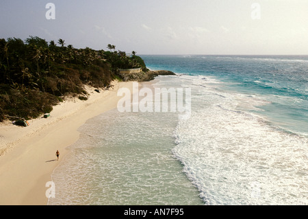Barbados, San Filippo, Spiaggia di gru Foto Stock