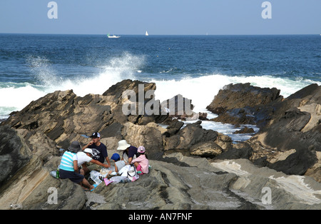 Pacific tidepool e picnic Foto Stock