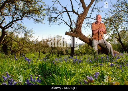 Un pensionato di uomo in una comunità ORCHARD GLOUCESTERSHIRE England Regno Unito con i meli in piena fioritura Foto Stock