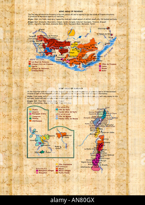 Mappa illustrata delle aree vinicole della Provenza e della Borgogna, in Francia con informazioni circa gli stili di vino e le varietà di uva Foto Stock