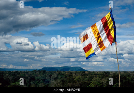 Vista sulla giungla dal vertice di Prasat Thom piramide, Koh Ker, Preah Vihear Provincia, Cambogia Foto Stock