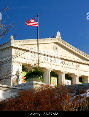 Famosa in tutto il mondo, John G. Shedd Aquarium si trova presso il lago Michigan sul lato sud del centro cittadino di Chicago in Illinois USA Foto Stock