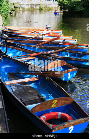 Ormeggiate barche di remi da crociera sul fiume a noleggio; noleggio imbarcazioni all'ormeggio a Matlock Bath, Derbyshire Inghilterra UK Foto Stock