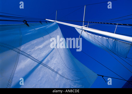 cielo e vele Foto Stock