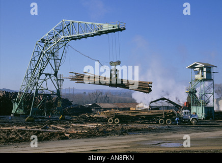 Stati Uniti d'America ARKANSAS sorgenti calde di una grande operazione di registrazione tenendo southern pini dalle montagne Ouachita in Hot Springs Foto Stock