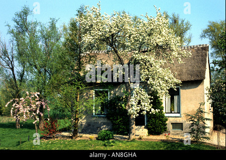 La NV TIEL Gelderland monumento di architettura storica cittadina di apple orchard betuwe Foto Stock