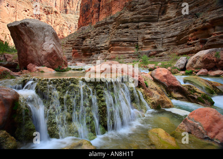 Havasu Creek è un flusso laterale al fiume Colorado all'interno del Grand Canyon Foto Stock