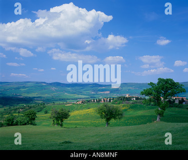 Toscana, Italia: vista panoramica sulle colline e valli della Val d Orcia e la hilltown di Contignano Foto Stock