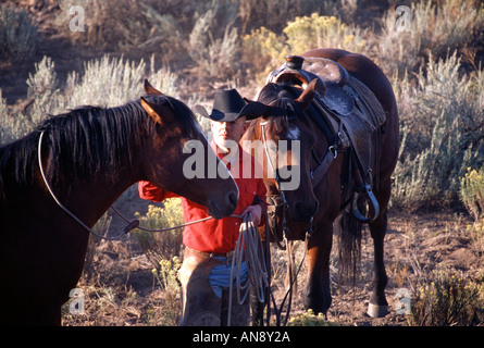 Cowboy cattura un cavallo posizionando la corda attorno al collo di un cavallo in la salvia su un ranch in Oregon Foto Stock