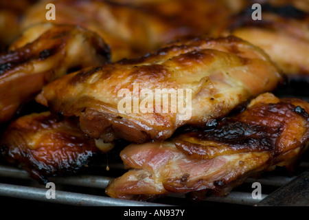 Pollo alla griglia cibo di strada Barbeque Bangkok in Thailandia Foto Stock