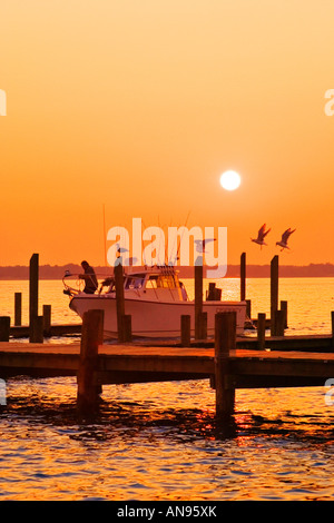 Dock, papi Creek, Maryland, Stati Uniti d'America Foto Stock