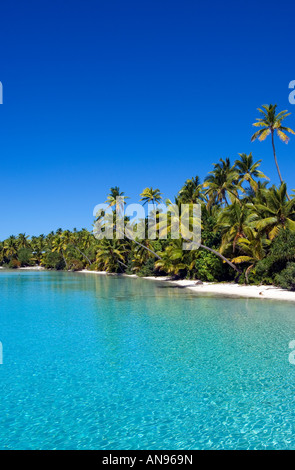 Una spiaggia da cartolina nella remota atollo di Aitutaki Cook Islands palme spiaggia fiancheggiata. Foto Stock