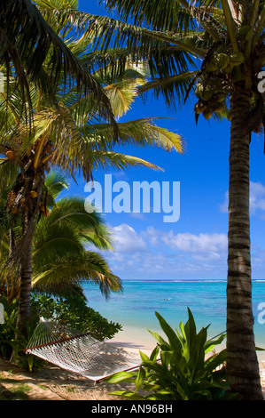 Amaca sul palmo rivestito su di una spiaggia da cartolina atollo di Rarotonga Isole Cook Foto Stock