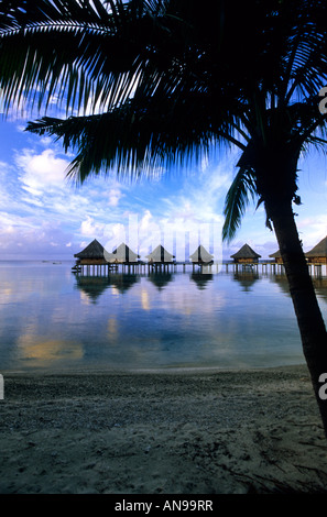 Hotel Kia Ora Resort & Spa Bungalow Sull'Acqua Sulla Polinesia Francese Di Rangiroa Foto Stock