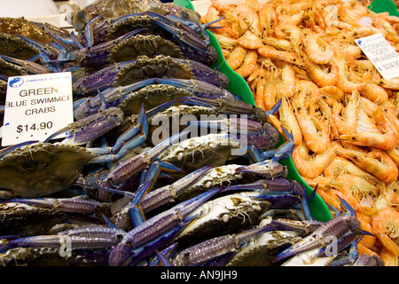 Verde Blu nuotatore di granchi e cucinato gamberoni in vendita a Sydney al mercato del pesce del Porto di Darling Australia Foto Stock