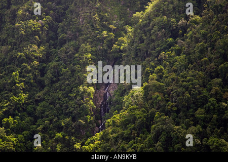 Cascata nella foresta pluviale tropicale Queensland Australia Foto Stock