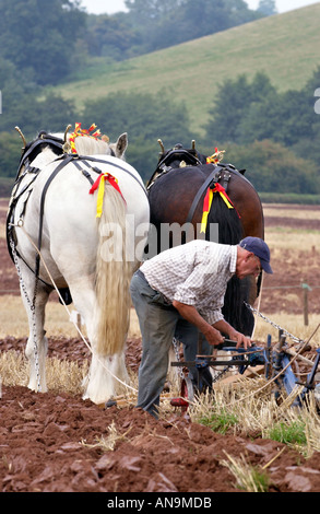 L'aratura annuale di confronto utilizzando team di cavalli a Pandy Monmouthshire Wales UK Foto Stock